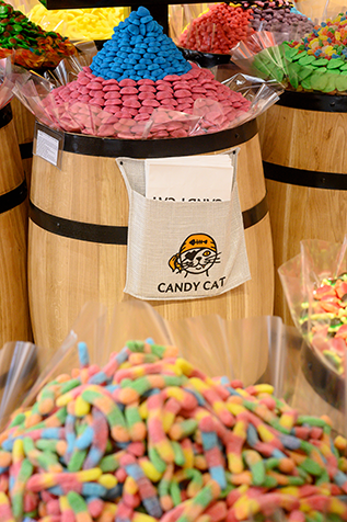 CANDY CAT CANDY CAT