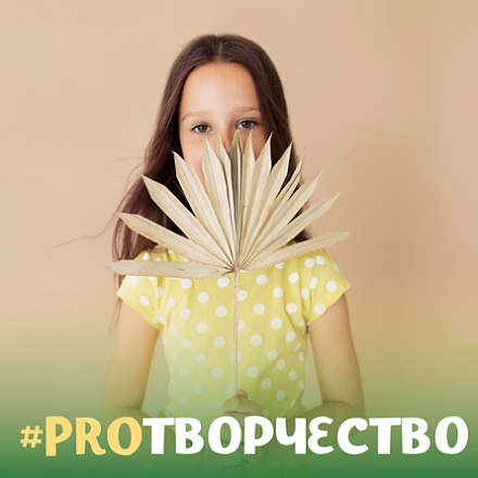 #PROтворчество